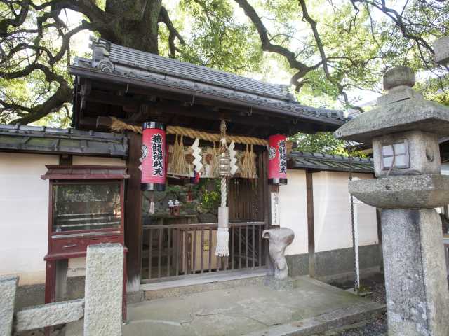 新熊野神社の画像 4枚目