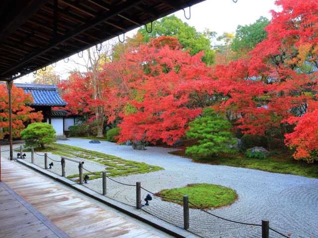 天授庵の画像 1枚目