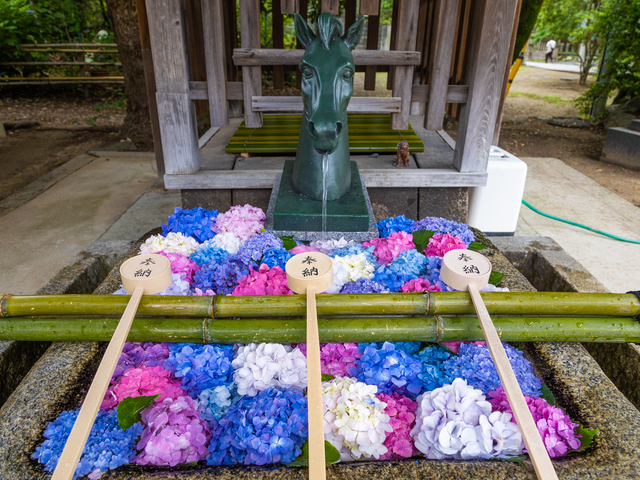 藤森神社の画像 4枚目