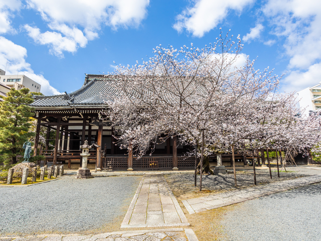 本法寺の画像 1枚目