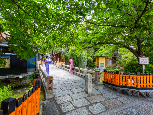 白川・新橋通の画像 3枚目