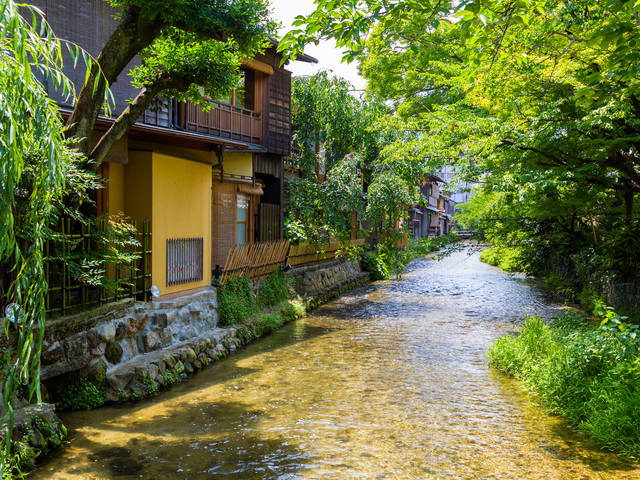 白川・新橋通の画像 4枚目