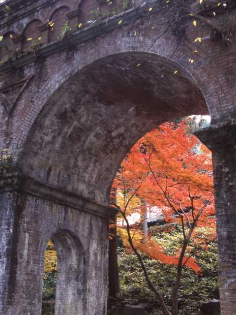 南禅寺の紅葉の画像 1枚目