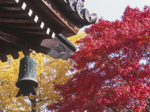 南禅寺の紅葉の画像 3枚目