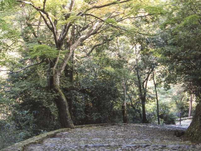 嵐山公園(亀山地区)の画像 3枚目