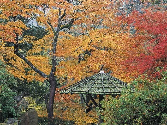 嵐山公園(亀山地区)