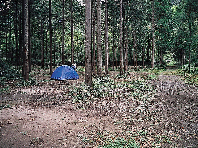 久多自然活用村大黒谷キャンプ場の画像 4枚目