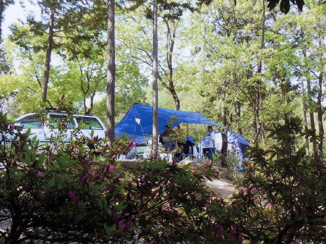 タカジンランド久美浜オートキャンプ場の画像 4枚目