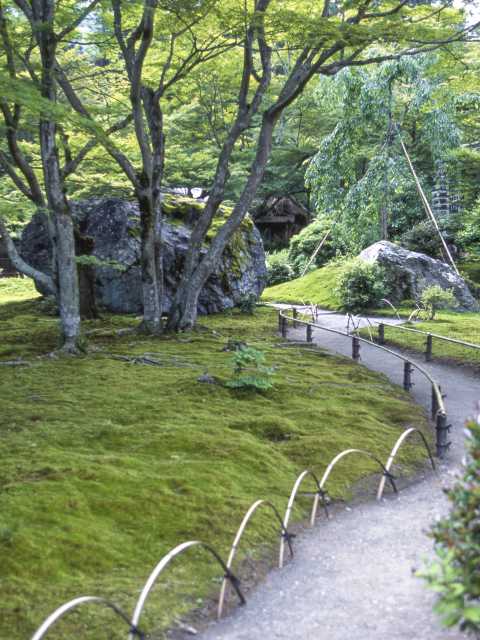 宝厳院の画像 2枚目