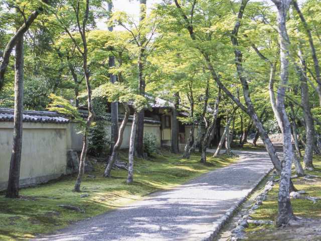宝厳院の画像 1枚目