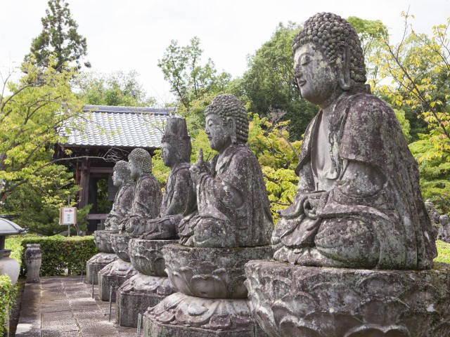 蓮華寺の画像 1枚目