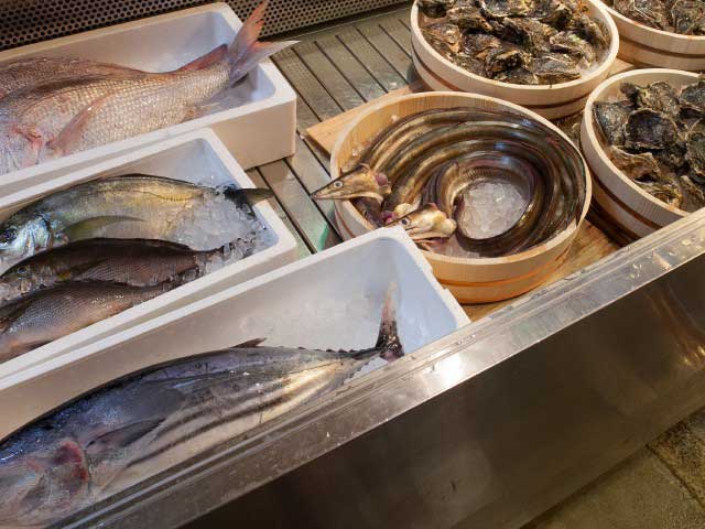 錦・大安