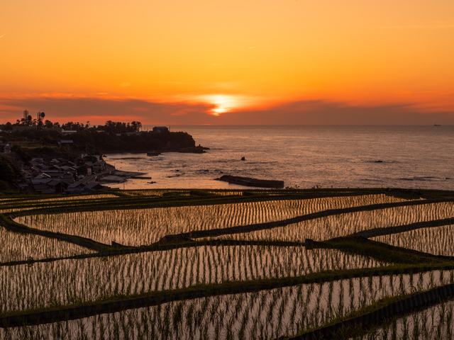 袖志の棚田の画像 2枚目