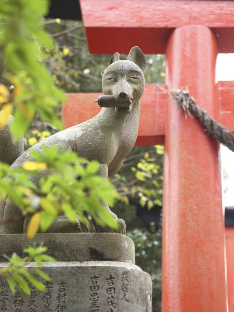 竹中稲荷神社の画像 4枚目