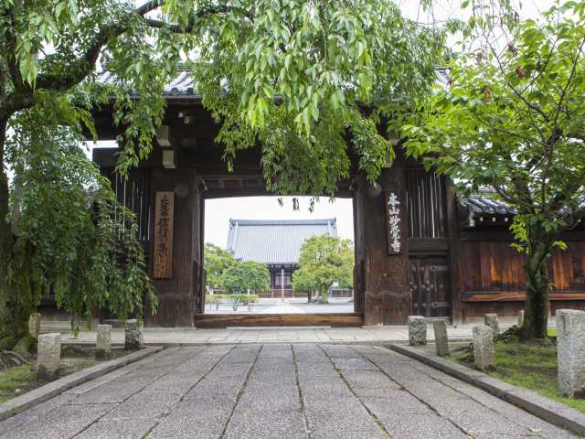 妙覺寺の画像 2枚目
