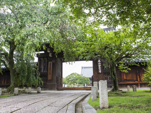 妙覺寺の画像 4枚目