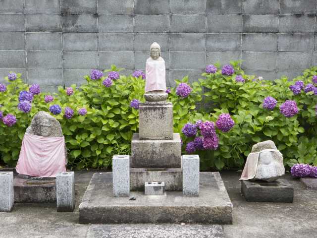 妙覺寺の画像 3枚目