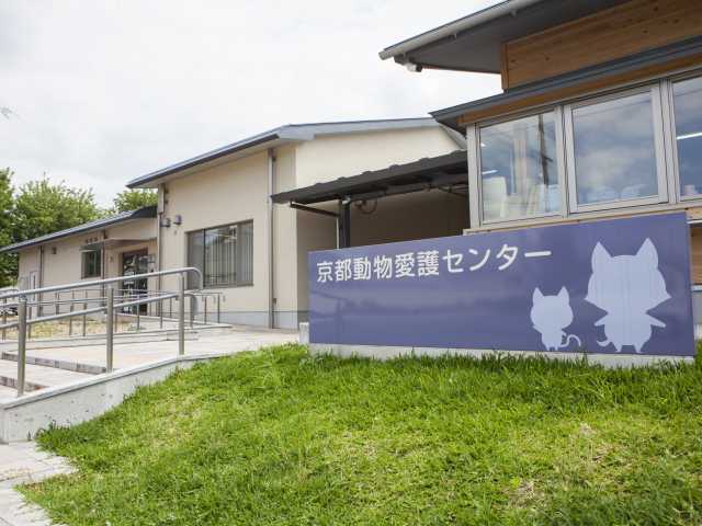 京都動物愛護センターの画像 1枚目