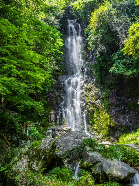 清水の滝の画像 1枚目