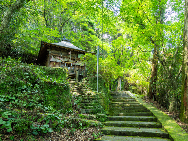 清水の滝の画像 4枚目