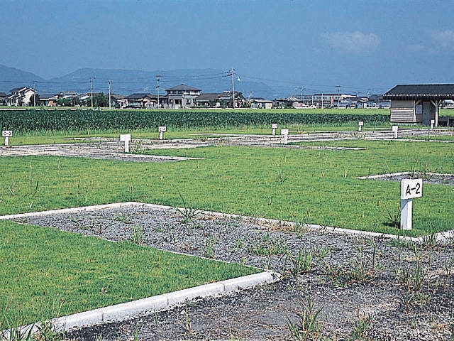 海遊ふれあいパークオートキャンプ場
