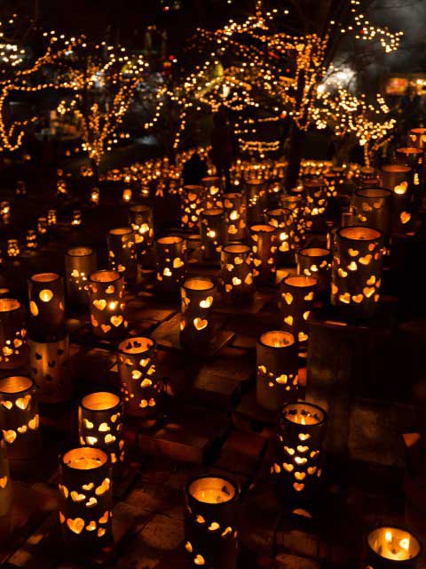 光のバレンタイン TAKEO・世界一飛龍窯灯ろう祭り