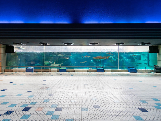 神戸市立須磨海浜水族園