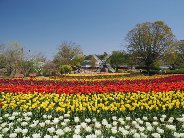 兵庫県立フラワーセンターの画像 1枚目