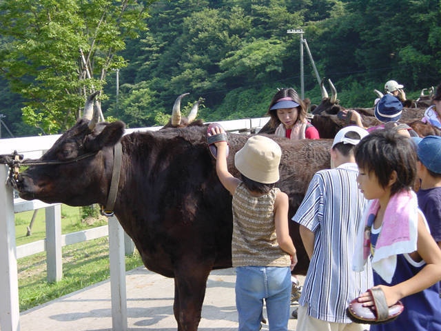 兵庫県立但馬牧場公園