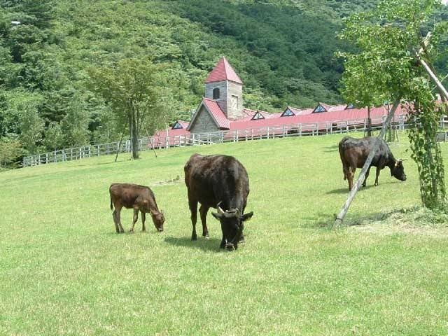 兵庫県立但馬牧場公園