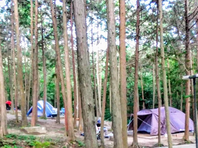 やしろ鴨川の郷キャンプ場の画像 1枚目