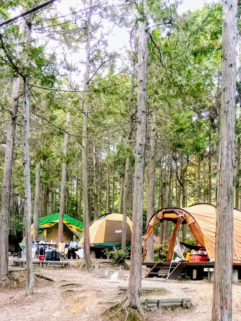 やしろ鴨川の郷キャンプ場の画像 2枚目