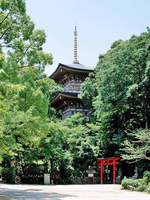 大本山須磨寺の画像 4枚目