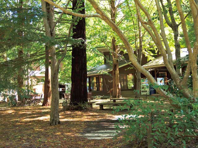 神戸市立森林植物園