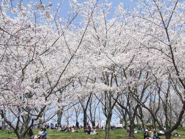 県立播磨中央公園の画像 3枚目