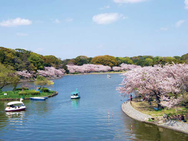 明石公園の画像 2枚目