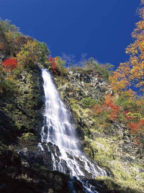 天滝の画像 1枚目