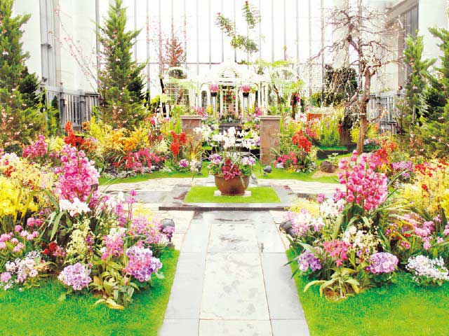 兵庫県立淡路夢舞台温室 「奇跡の星の植物館」