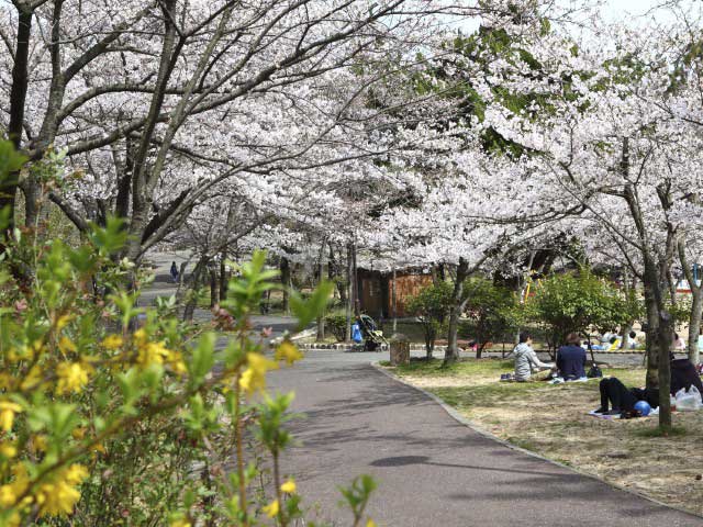 須磨浦公園の画像 4枚目