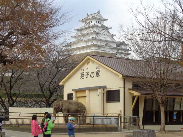姫路市立動物園の画像 3枚目