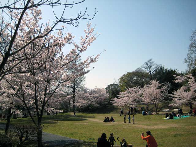 奥須磨公園の画像 1枚目