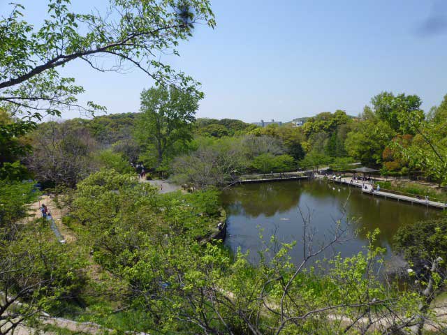 奥須磨公園の画像 4枚目