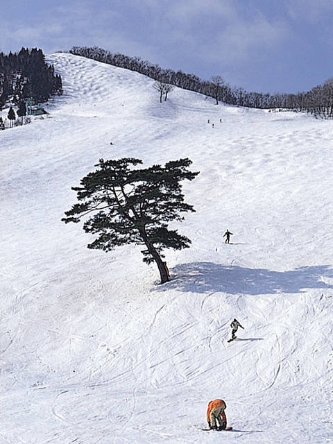 奥神鍋スキー場