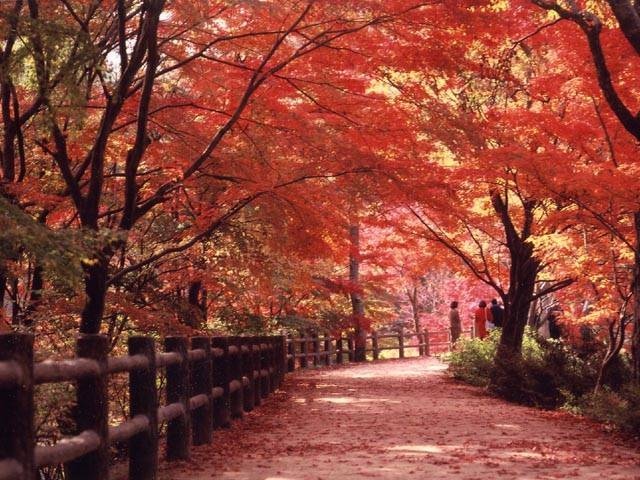 神戸市立森林植物園