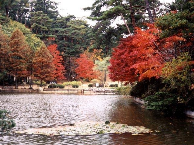 神戸市立森林植物園