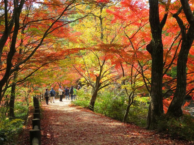 神戸市立森林植物園の画像 1枚目