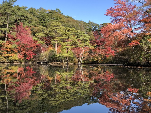 神戸市立森林植物園の画像 2枚目