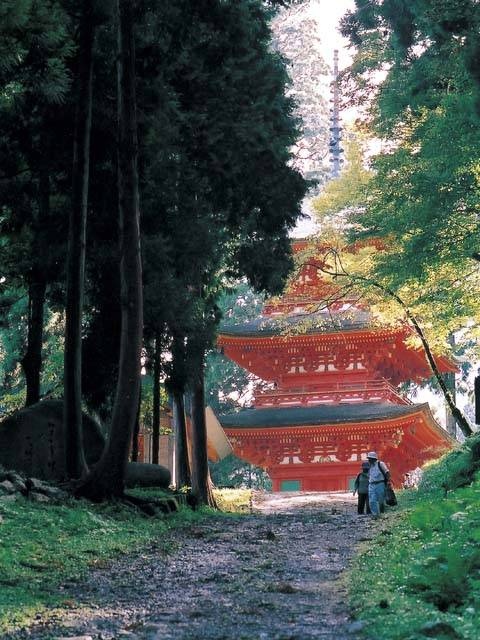 名草神社の画像 1枚目