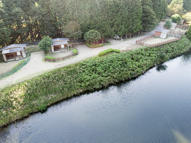 キャンプリゾート森のひとときの画像 1枚目