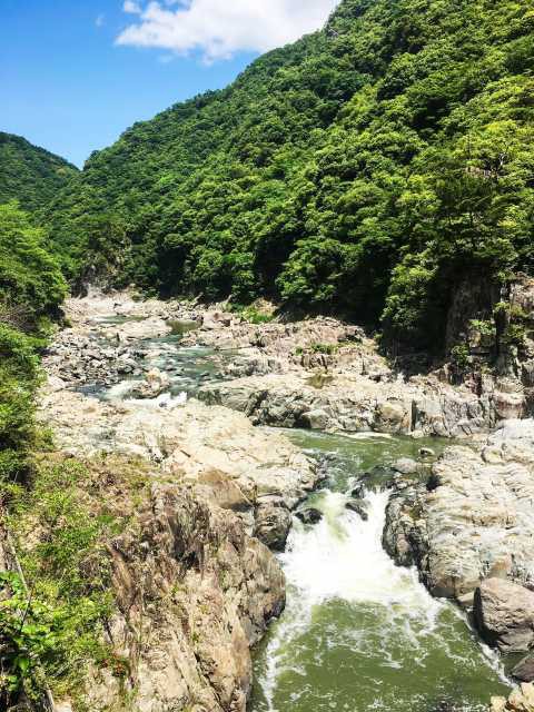 JR福知山線廃線敷ハイキングの画像 4枚目